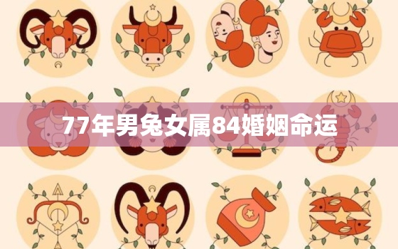 77年男兔女属84婚姻命运，77年男84年女属相合