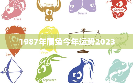 1987年属兔今年运势2023，1987年属兔的2022年运势如