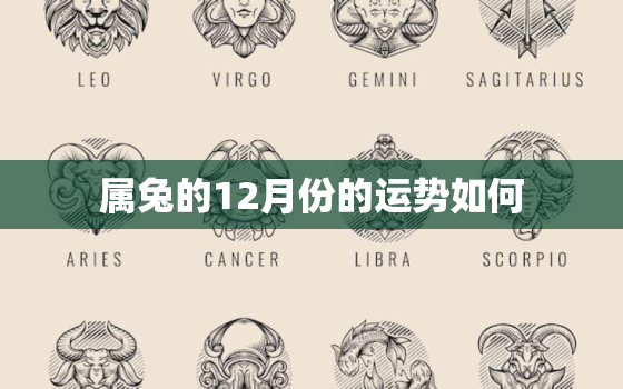 属兔的12月份的运势如何，属兔十二月份的运势