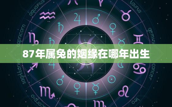 87年属兔的姻缘在哪年出生，87年的兔最佳姻缘属相是什么