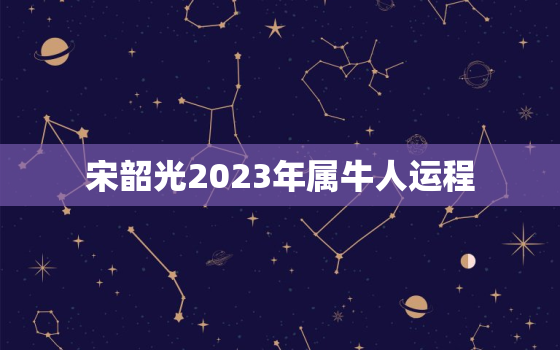 宋韶光2023年属牛人运程，2023年属牛人全年运势如何