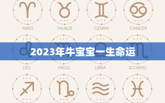 2023年牛宝宝一生命运，2023年牛什么命