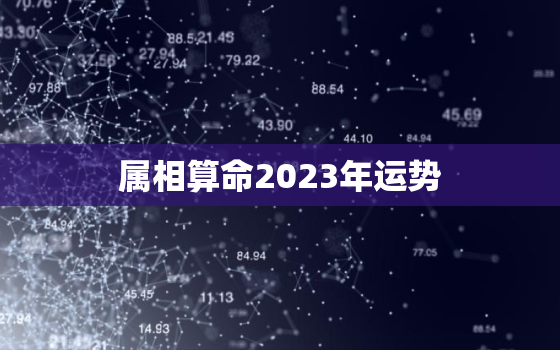 属相算命2023年运势，2023年各生肖运势