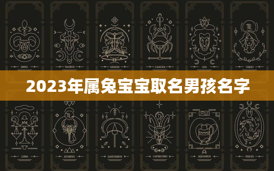 2023年属兔宝宝取名男孩名字，2023年属兔人起名字