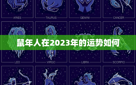 鼠年人在2023年的运势如何，鼠年2023年运势及运程每月