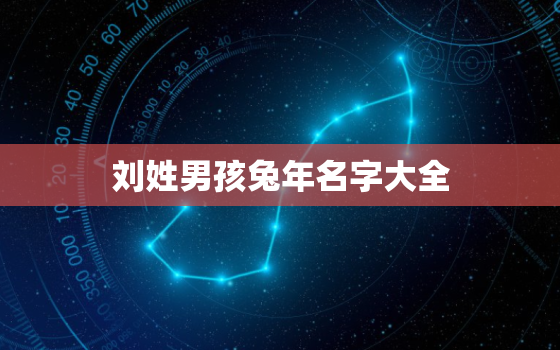 刘姓男孩兔年名字大全，刘姓
宝2021年取名