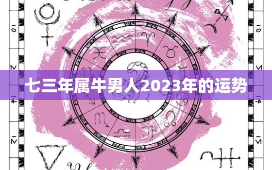 七三年属牛男人2023年的运势，七三年的牛男2020年每月的运势