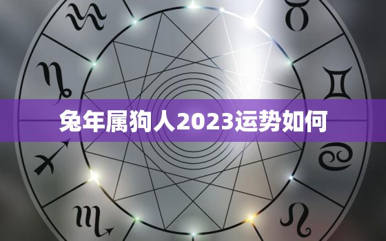 兔年属狗人2023运势如何，属兔狗年运气如何