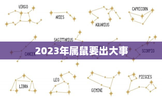 2023年属鼠要出大事，属鼠的人2023年运势及运程