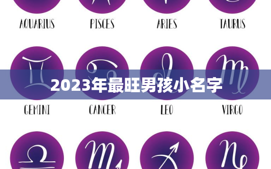 2023年最旺男孩小名字，2023年
宝几月出生好