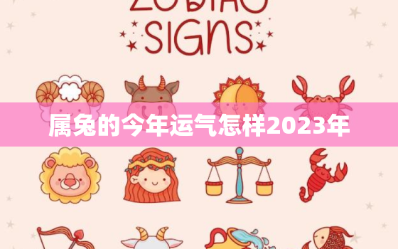 属兔的今年运气怎样2023年，属兔今年运气咋样