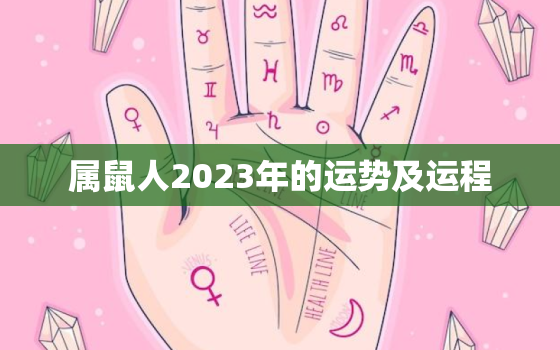 属鼠人2023年的运势及运程，属鼠人2023年的运势及运程如何