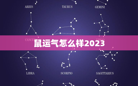 鼠运气怎么样2023，属鼠运势2023