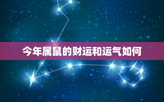 今年属鼠的财运和运气如何，今年属鼠的财运和运气如何2022