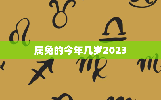 属兔的今年几岁2023，属兔的今年几岁什么年出生的