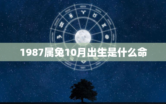 1987属兔10月出生是什么命，1987年属兔十月生好不好