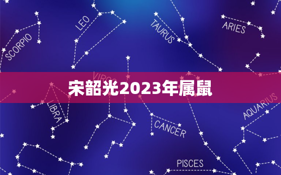 宋韶光2023年属鼠，宋韶光2021年属鼠人的全年运势