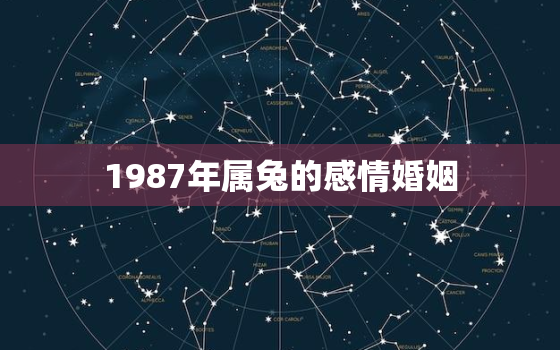 1987年属兔的感情婚姻，1987属兔的婚姻