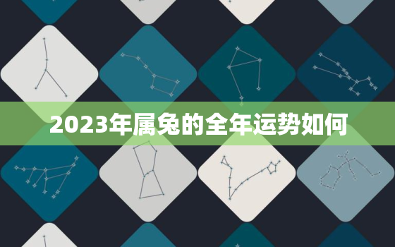 2023年属兔的全年运势如何，2023年属兔的全年运势如何呢