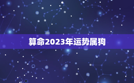 算命2023年运势属狗，2023年属狗运势及运程