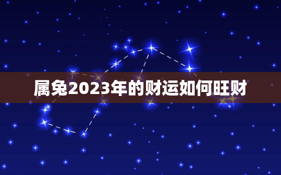 属兔2023年的财运如何旺财，属兔人2023年运势详解