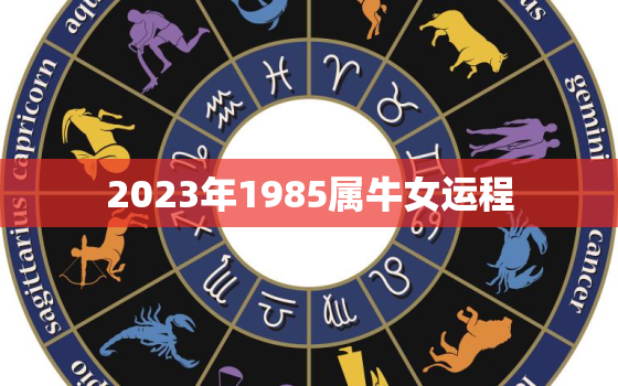 2023年1985属牛女运程，2023属牛人全年运势1985