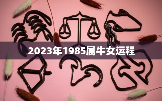 2023年1985属牛女运程，1985属牛人2023年全年运势