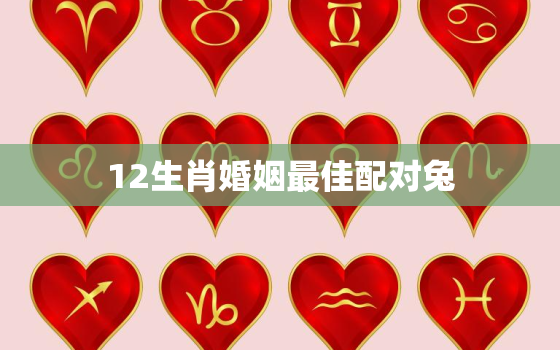 12生肖婚姻最佳配对兔，十二生肖属兔婚配表