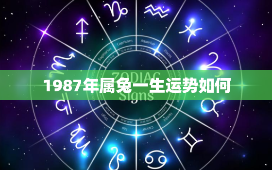 1987年属兔一生运势如何，1987年兔一生的运程