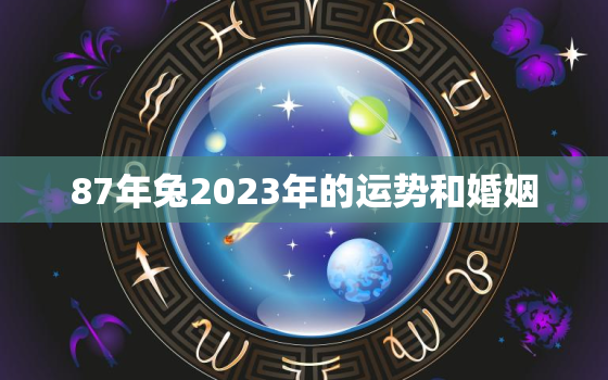 87年兔2023年的运势和婚姻，87年兔在2023年怎么样