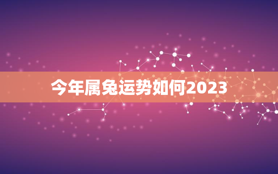 今年属兔运势如何2023，今年属兔运势如何2021