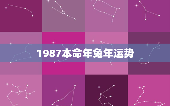 1987本命年兔年运势，87年兔子本命年