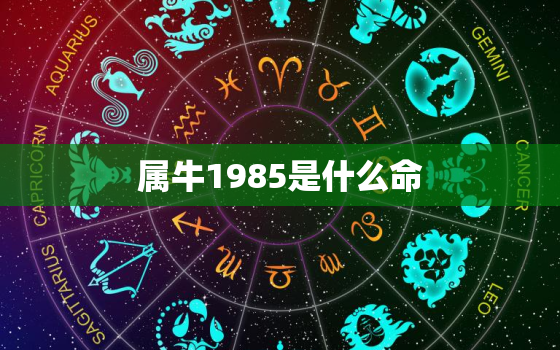 属牛1985是什么命，属牛年1985是什么命