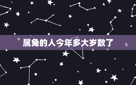 属兔的人今年多大岁数了，属兔的人今年多大岁数了呀