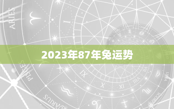 2023年87年兔运势，2023年属兔运势