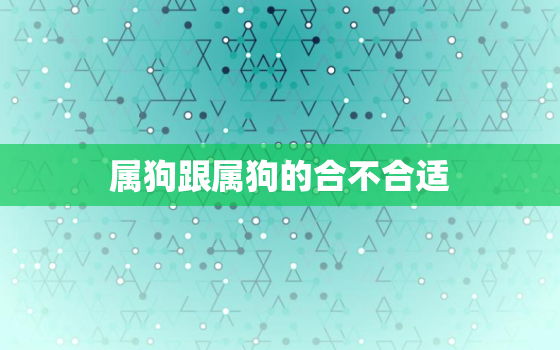 属狗跟属狗的合不合适，属狗和属狗的人合不合