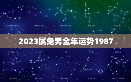 2023属兔男全年运势1987，1987年兔男2023年感情与婚姻