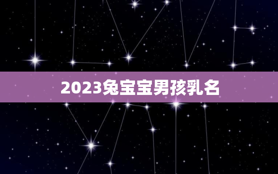 2023兔宝宝男孩乳名，2023年兔宝宝乳名