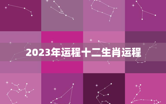 2023年运程十二生肖运程，属蛇2023年全年运势运程