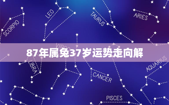 87年属兔37岁运势走向解，87年兔37岁的财运