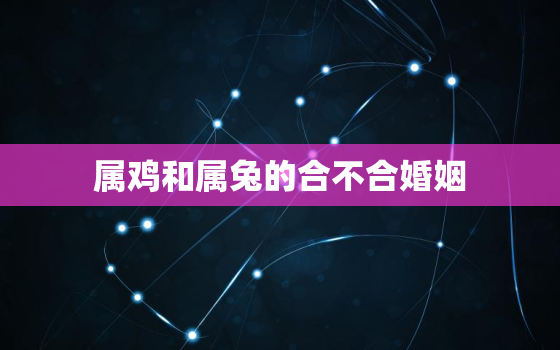 属鸡和属兔的合不合婚姻，鸡和兔在一起对谁不利