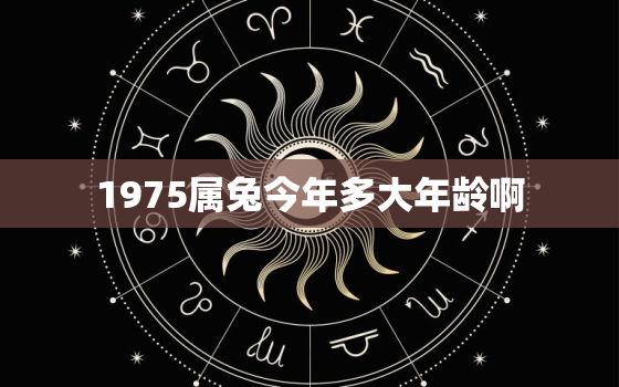 1975属兔今年多大年龄啊，属兔的1975今年多大了