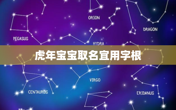 虎年宝宝取名宜用字根，虎年宝宝起名宜用字