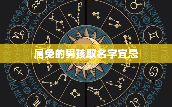 属兔的男孩取名字宜忌，属兔的男孩取名字宜忌有哪些