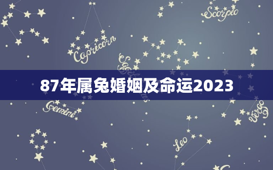 87年属兔婚姻及命运2023，87年属兔婚姻及命运2021