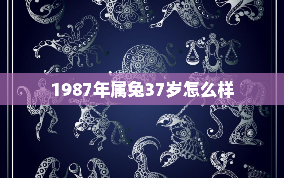 1987年属兔37岁怎么样，87年属兔33岁以后的一生命运