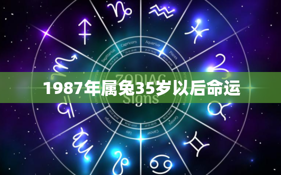 1987年属兔35岁以后命运，1987年属兔35岁后两喜缠身