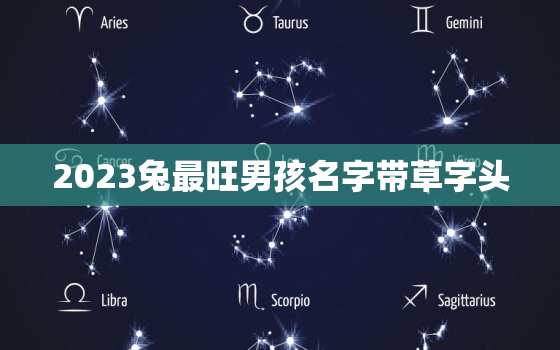 2023兔最旺男孩名字带草字头，带草字头的兔宝宝名字