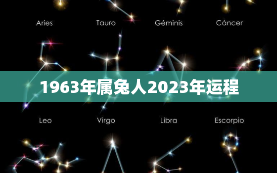 1963年属兔人2023年运程，1963年兔2022年运势