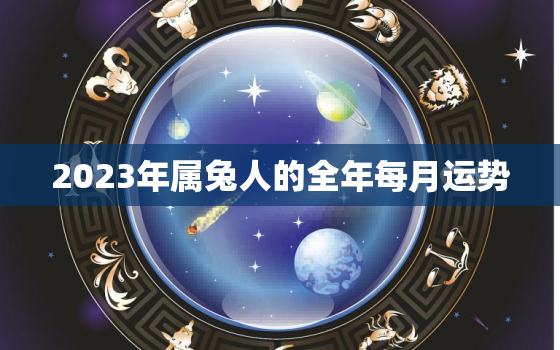 2023年属兔人的全年每月运势，2022年属兔下半年要出大事